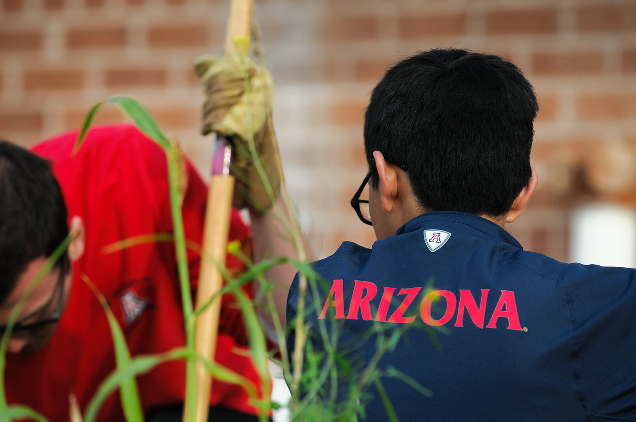 2 UA students using gardening tools at a volunteering event