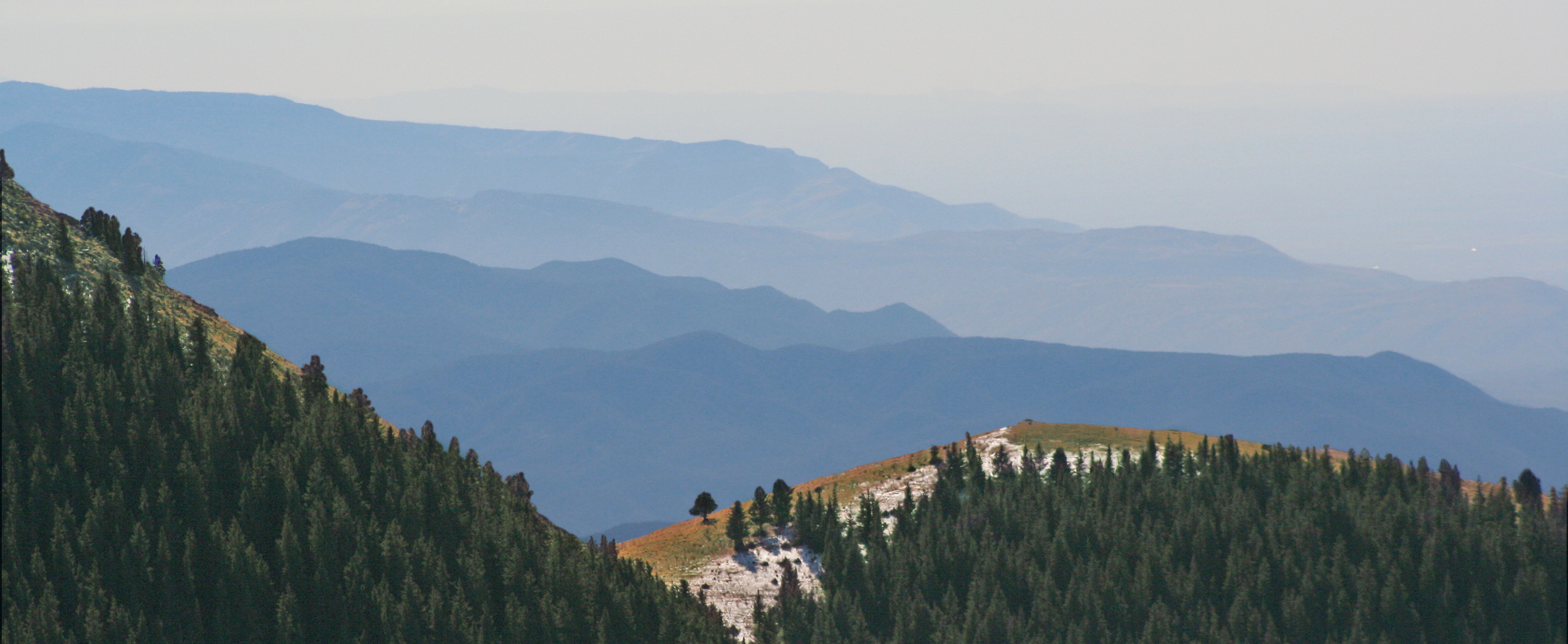 New Mexico mountains