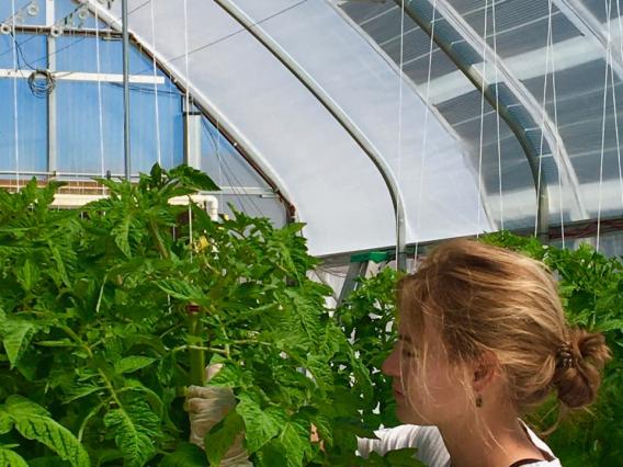 Rebakah Waller in a greenhouse