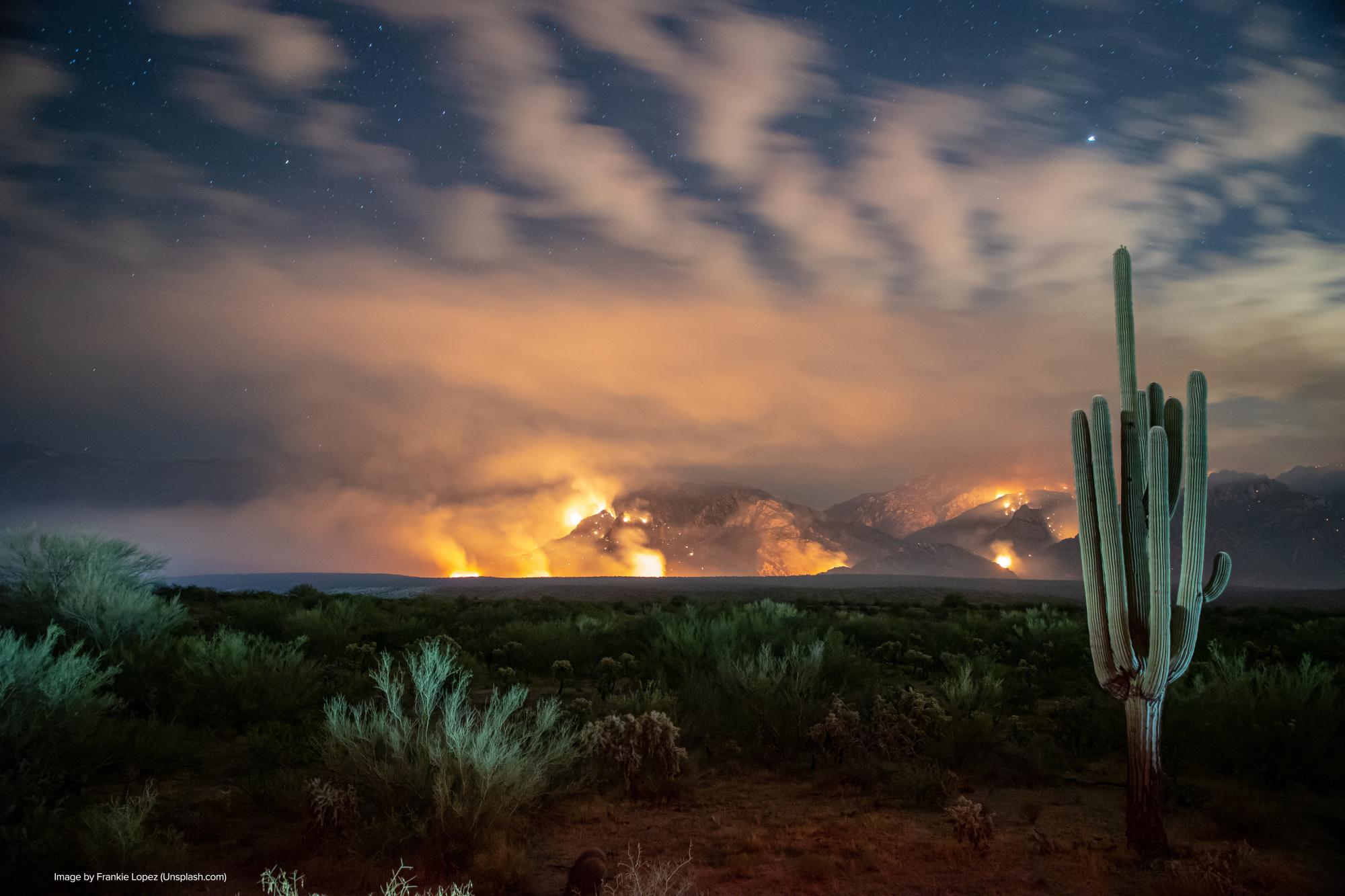 mountain on fire with cactus in foreground