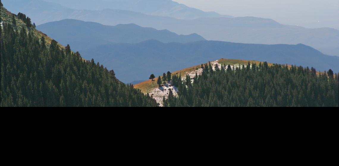 New Mexico mountains