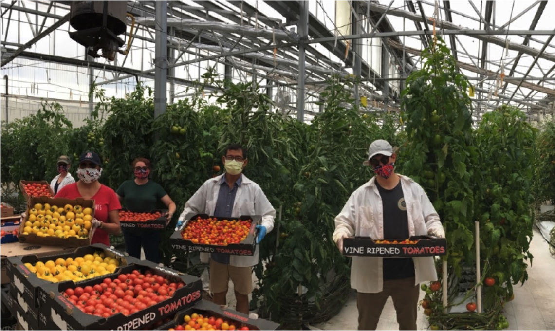 group of people holding produce