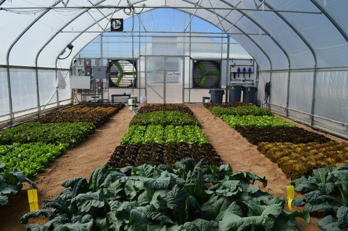 UA-CEAC Off Grid Greenhouse