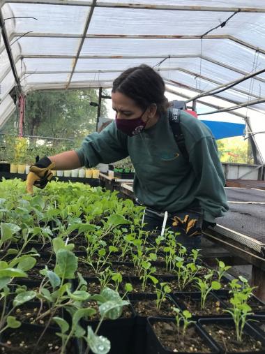 Earth Grant student Madison Goforth inspecting plants and soil.