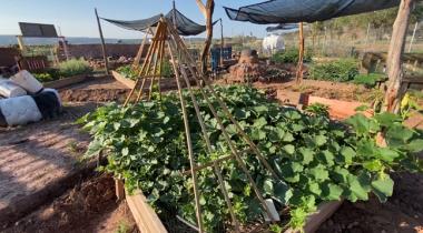 Garden planted with support from Sixth World Solutions interns