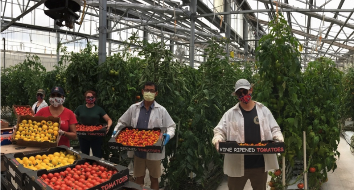 group of people holding produce