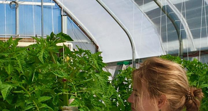 Rebakah Waller in a greenhouse