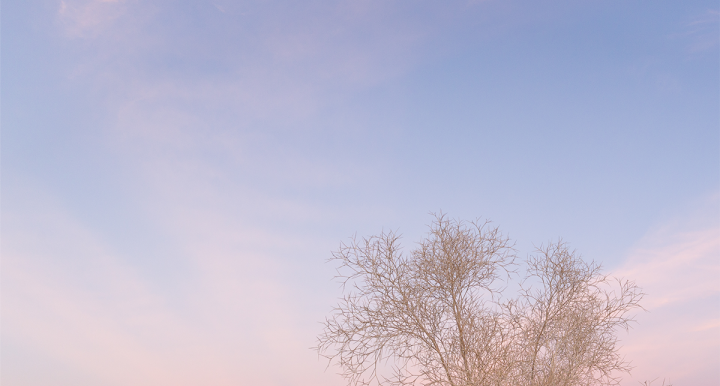 open sky with tree at bottom